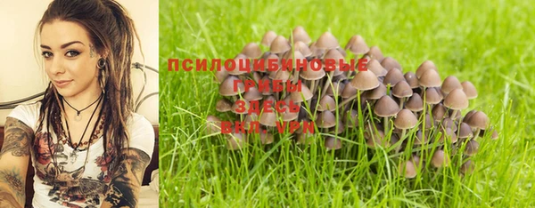 2c-b Абаза
