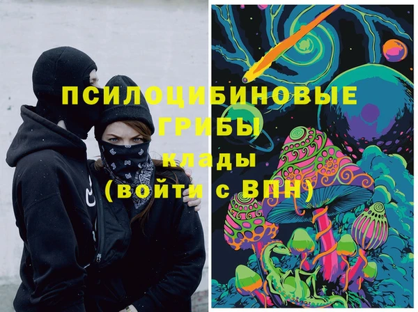 2c-b Абинск