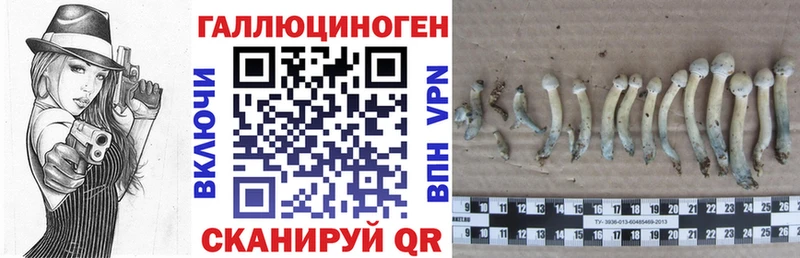 Галлюциногенные грибы прущие грибы  Красноармейск 