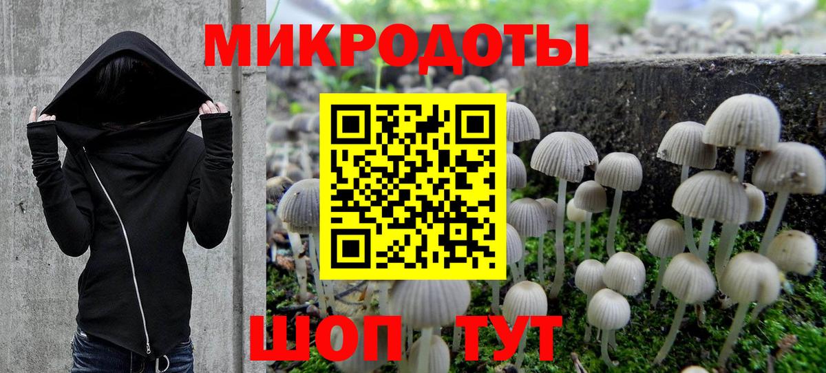 Красноармейск  Галлюциногенные грибы мухоморы  Галлюциногенные грибы Psilocybine cubensis  Вход с VPN 